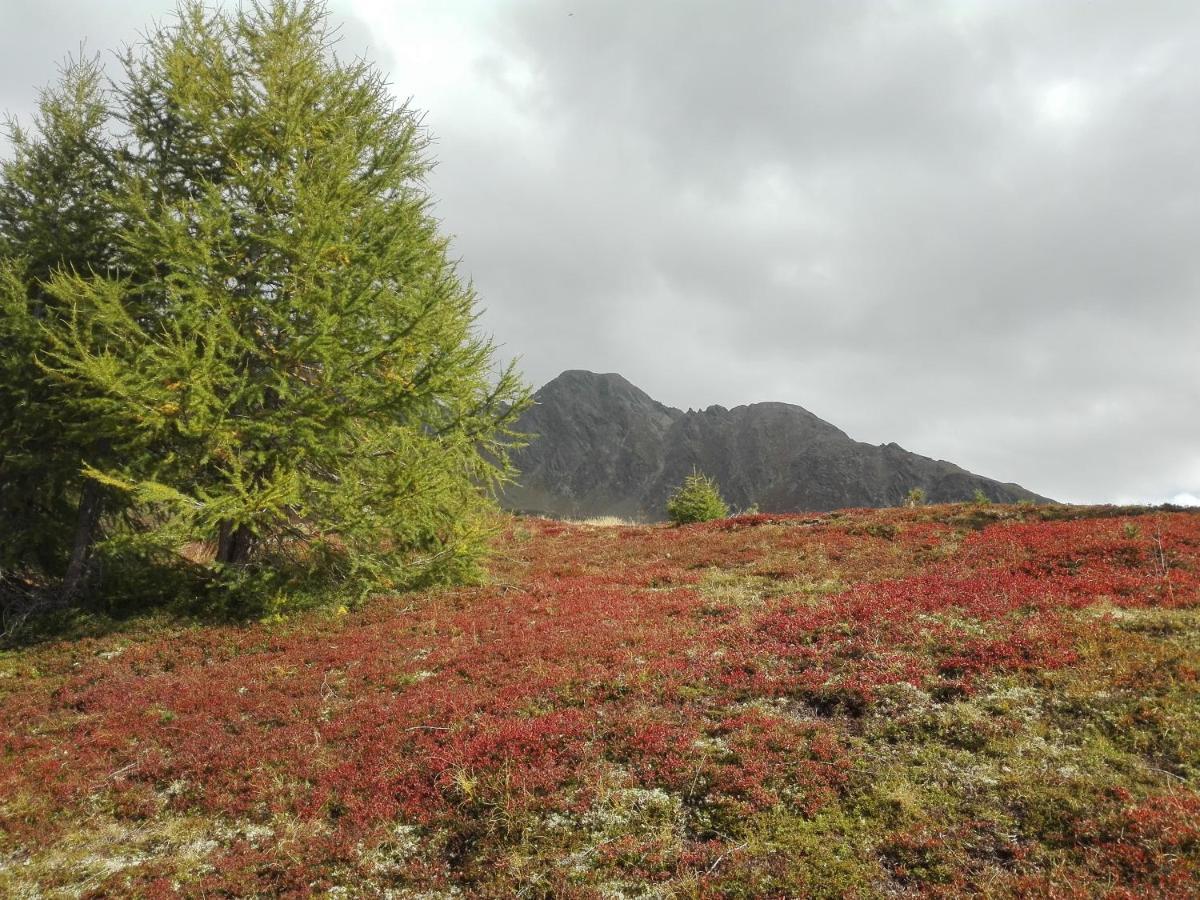 דירות סנטה מדלנה אין קזיאס Alpenblick מראה חיצוני תמונה